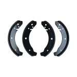 brake shoe beetle